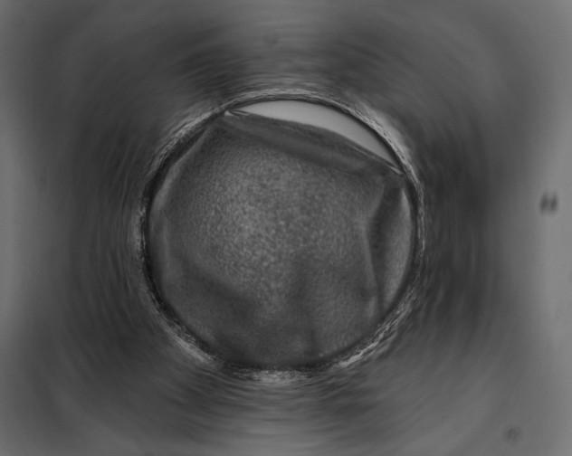 X0000098070105200804251447