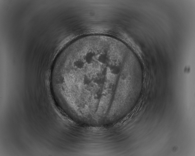 X0000098070107200804251447