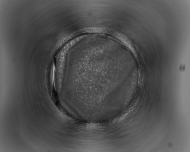 X0000098070109200804251447