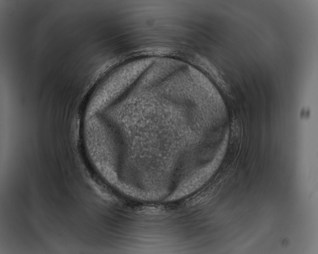 X0000098070110200804251447