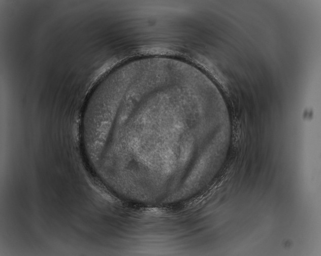 X0000098070111200804251447