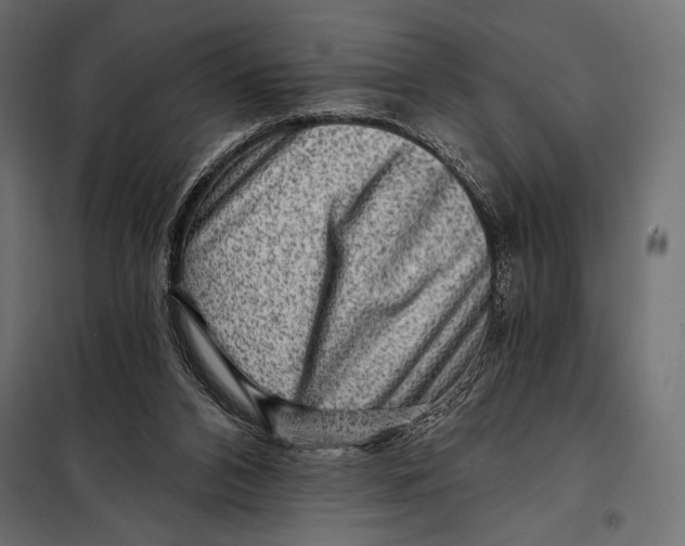 X0000098070112200804251447