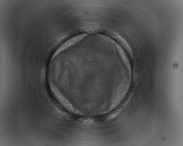 X0000098070113200804251447