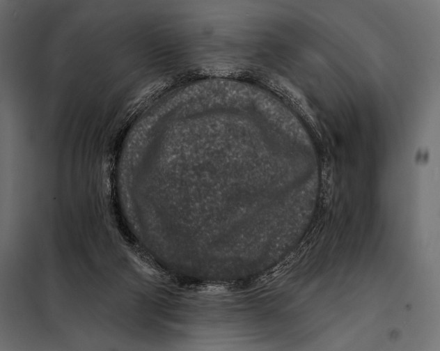 X0000098070114200804251447