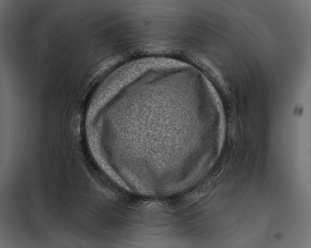 X0000098070115200804251447