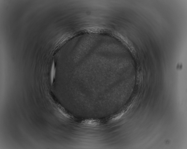 X0000098070117200804251447