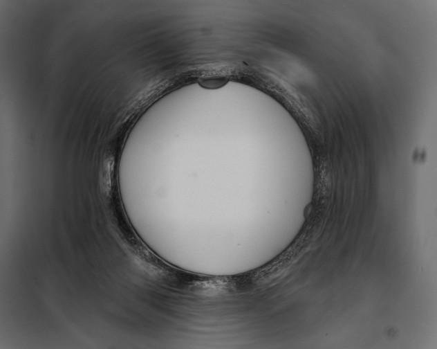 X0000098070118200804251447