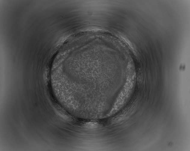 X0000098070119200804251447