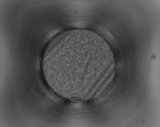 X0000098070120200804251447