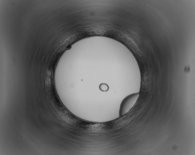 X0000098070122200804251447