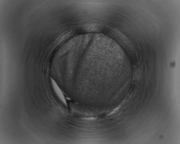 X0000098070124200804251447