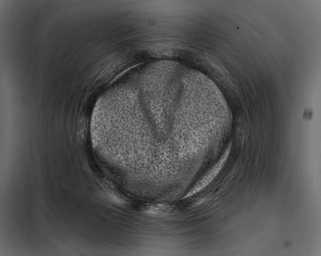 X0000098070125200804251447