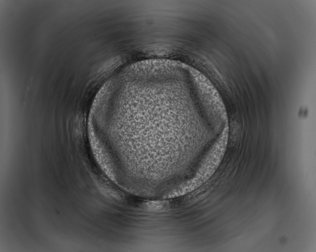 X0000098070126200804251447