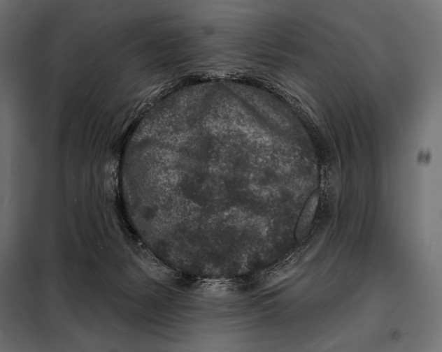 X0000098070127200804251447