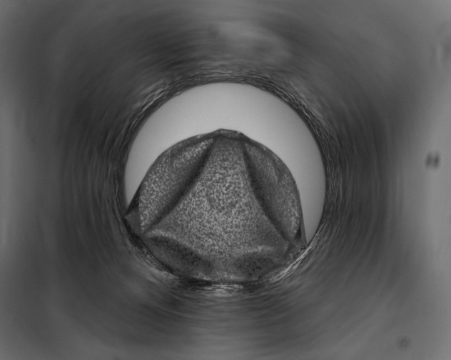 X0000098070128200804251447