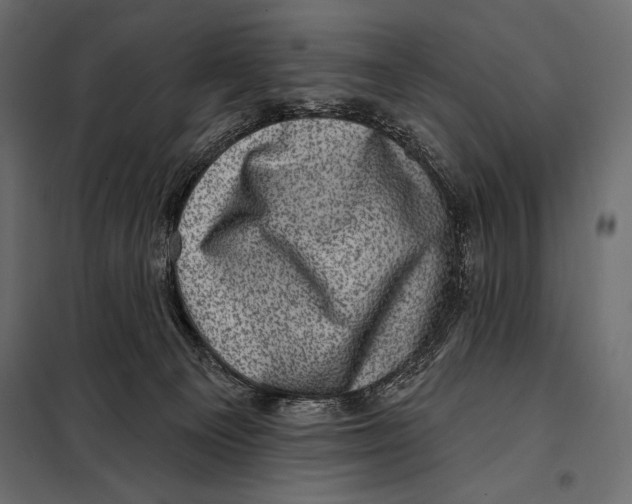 X0000098070129200804251447