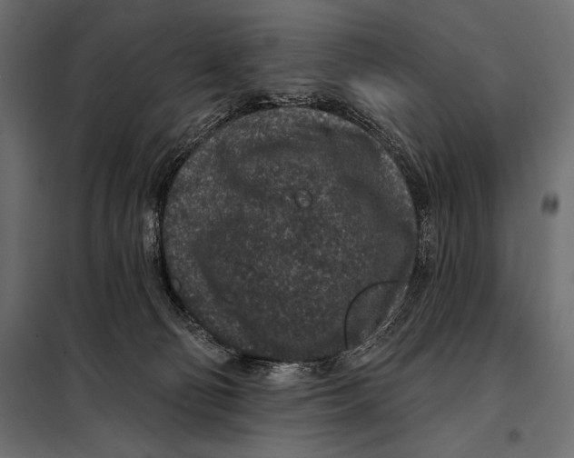 X0000098070130200804251447