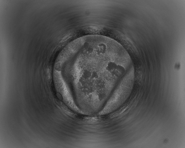 X0000098070131200804251447