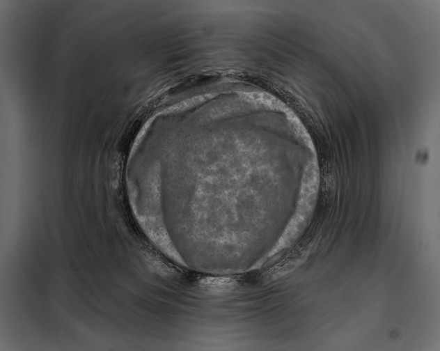 X0000098070133200804251447