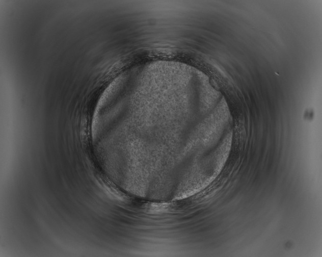 X0000098070134200804251447