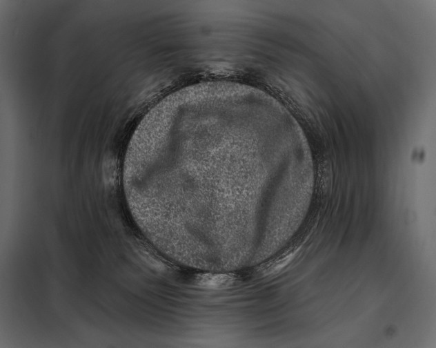 X0000098070135200804251447