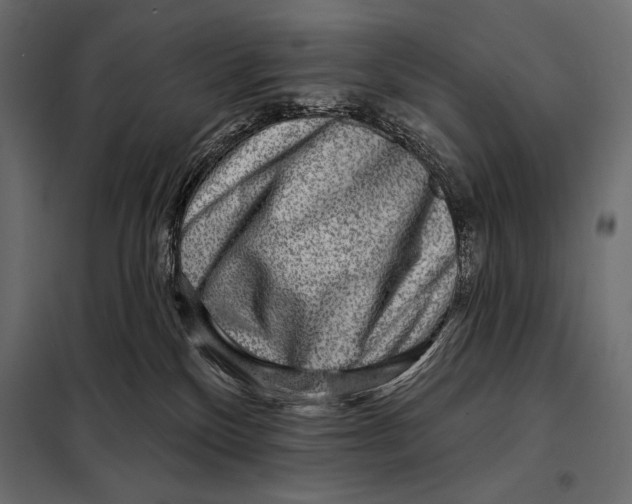 X0000098070136200804251447