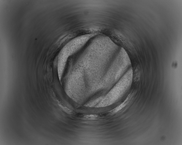 X0000098070140200804251447