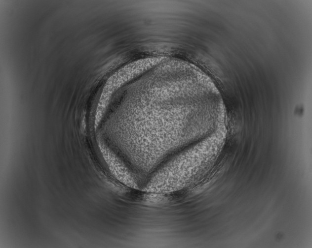 X0000098070141200804251447