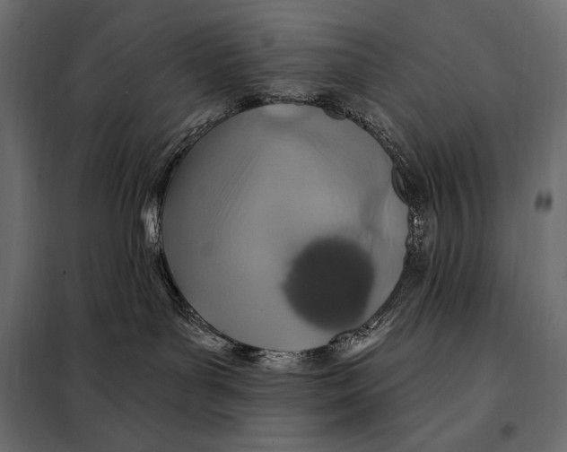 X0000098070143200804251447