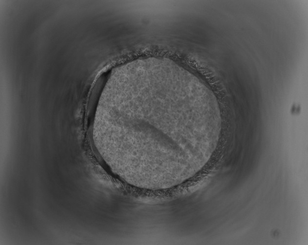 X0000098070144200804251447