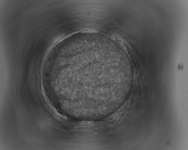 X0000098070145200804251446