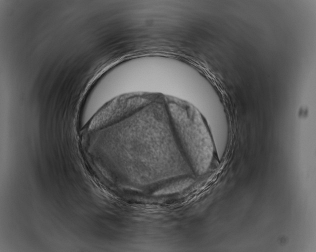 X0000098070146200804251446