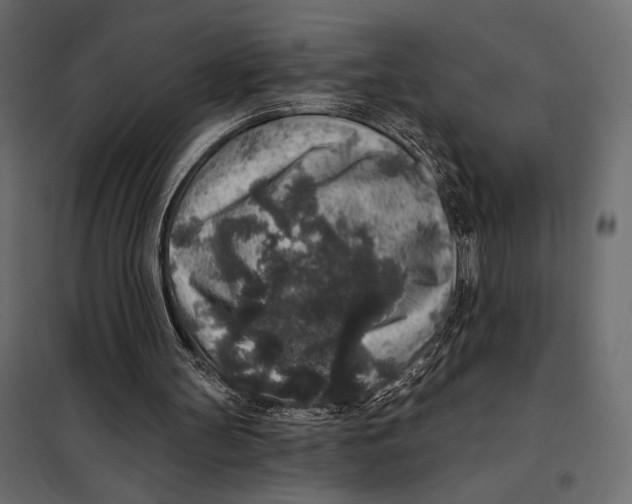 X0000098070147200804251446