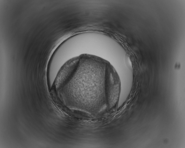 X0000098070148200804251446