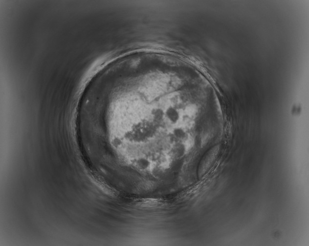 X0000098070151200804251446