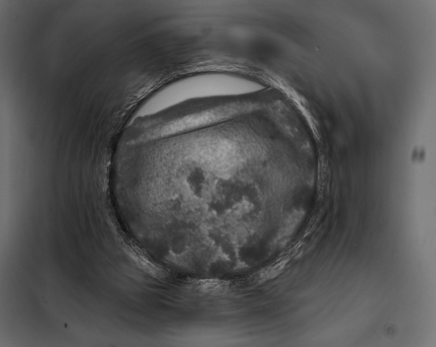 X0000098070153200804251446