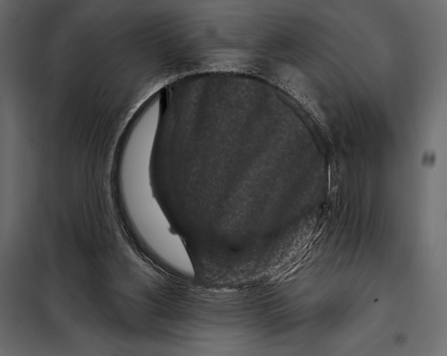 X0000098070156200804251446