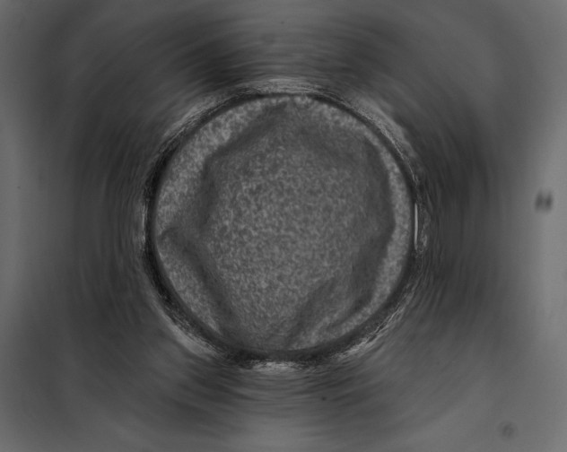 X0000098070157200804251446