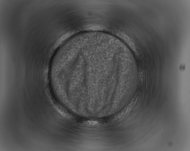 X0000098070159200804251446