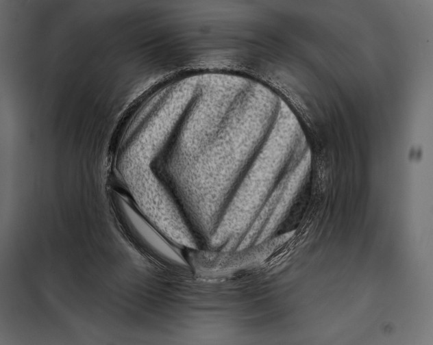 X0000098070160200804251446