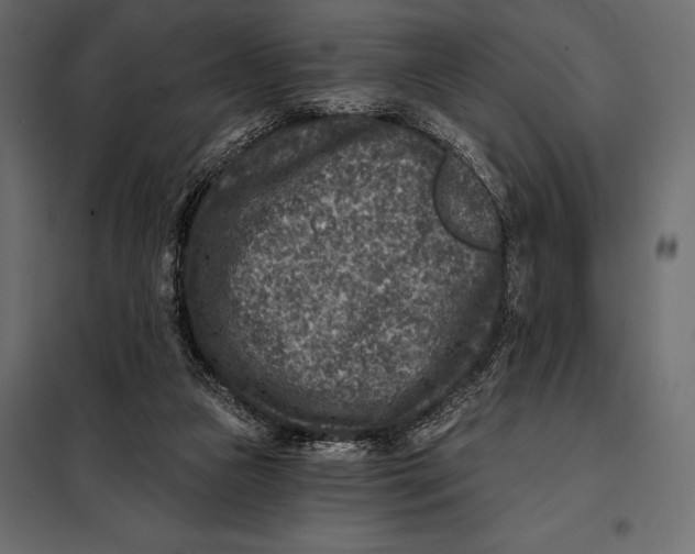 X0000098070161200804251446