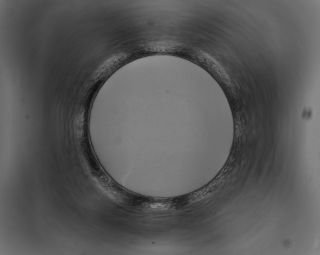 X0000098070163200804251446