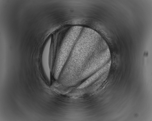 X0000098070164200804251446