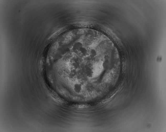 X0000098070165200804251446