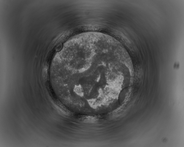 X0000098070166200804251446