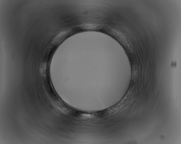 X0000098070167200804251446