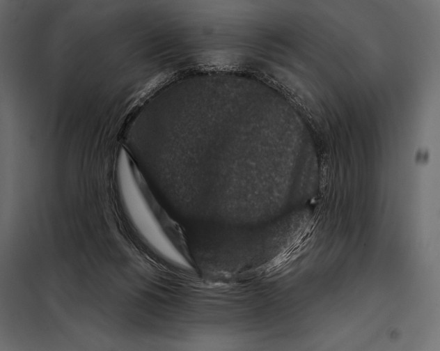 X0000098070168200804251446