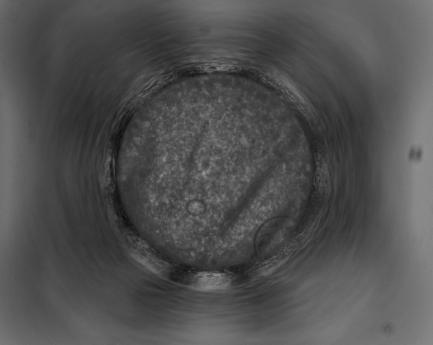 X0000098070169200804251446