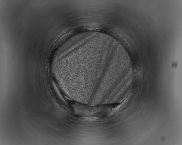 X0000098070170200804251446