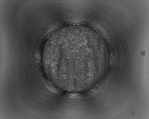 X0000098070173200804251446